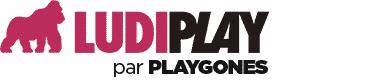 Ludiplay par Playgones - Des aires de jeux pour tous